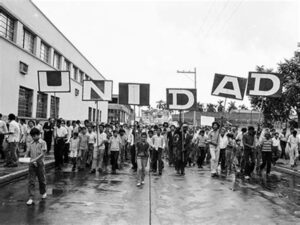 univalle-edu-co-1971-1
