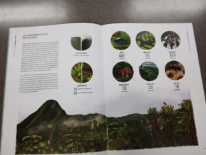 Lee más sobre el artículo CVC LANZA CARTILLA ILUSTRADA SOBRE EL PARQUE NATURAL REGIONAL PÁRAMO DEL DUENDE