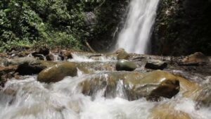 Lee más sobre el artículo NO HAY MERCURIO EN EL AGUA QUE TOMAN LOS CALEÑOS, REVELAN ANÁLISIS DE LA CVC