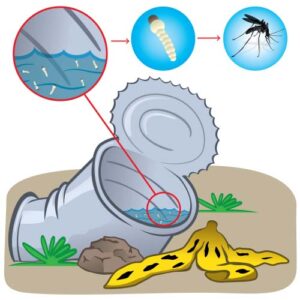 Lee más sobre el artículo DERROTAR EL DENGUE ES LA CONSIGNA