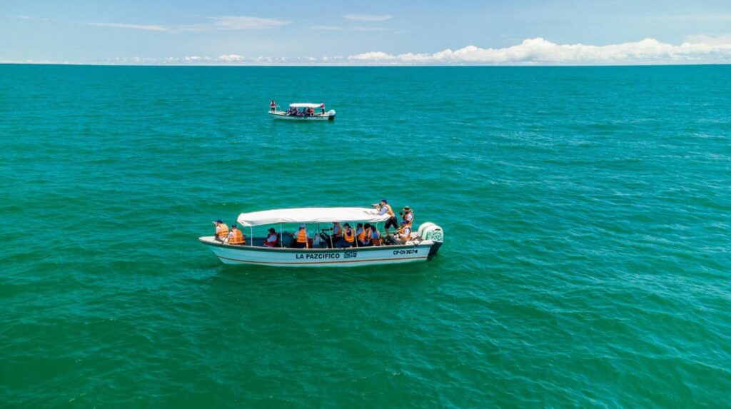 WhatsApp Image 2025-03-05 at 2.46.48 PM (2)