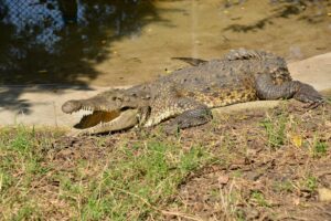 Imagen de WhatsApp 2025-07-16 a las 14.28.40_596e3e41