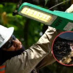 Emcali socializó el proyecto para modernizar el alumbrado público de Cali