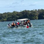 Al rescate de ballenas, delfines, tortugas marinas y tiburones